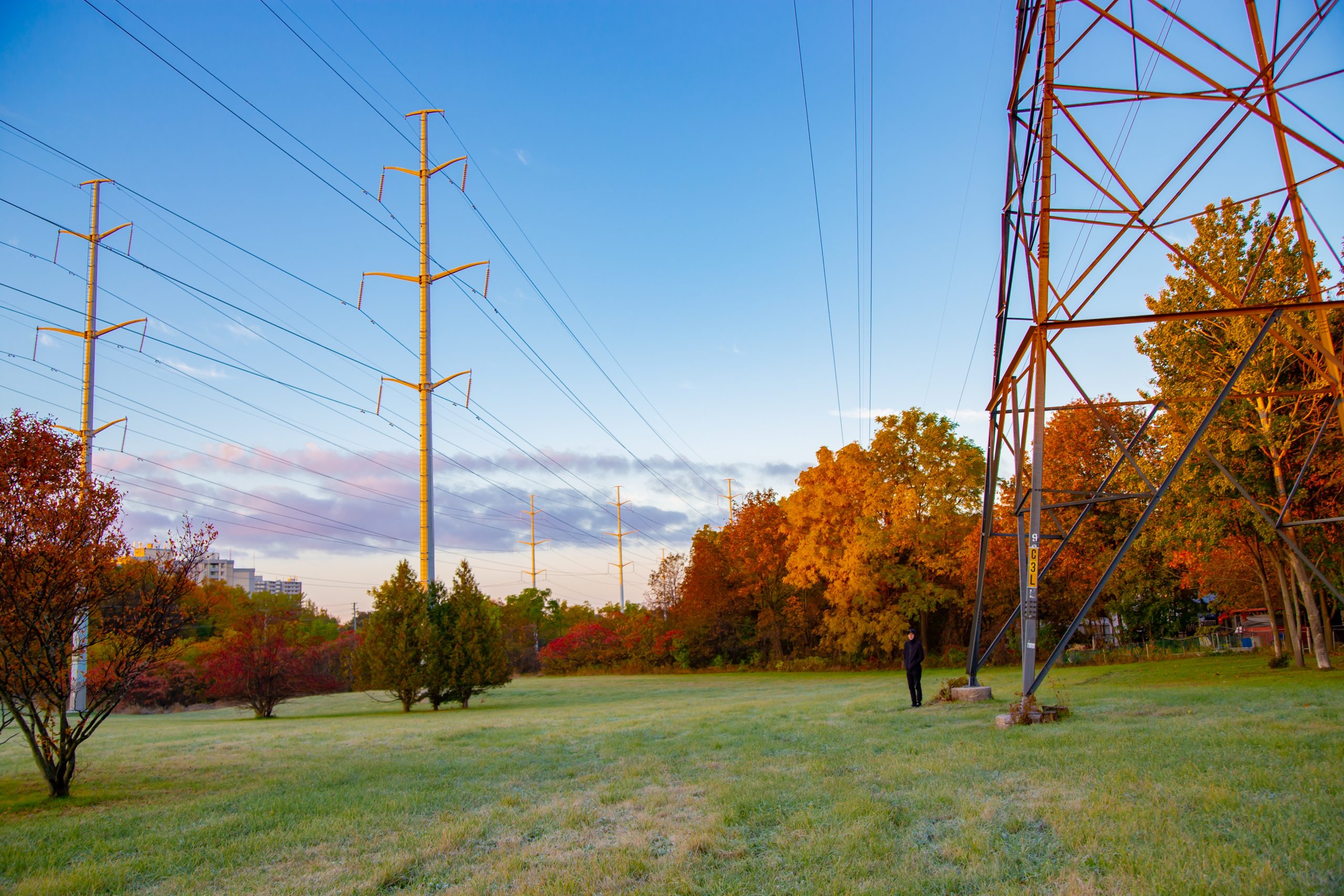 Greenfield and electric wire in Canada